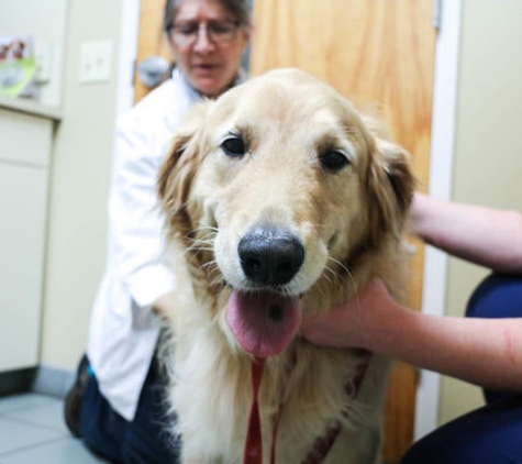 Willowrun Veterinary Hospital - Smithfield, NC