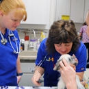 Highland Pet Hospital - Veterinarians