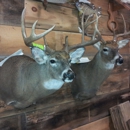 Woods Edge Taxidermy & Archery - Taxidermists