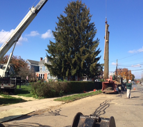 Campbell's Tree Services, LLC - Hockessin, DE