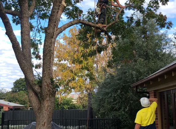Federation Tree Care - Corowa, NSW