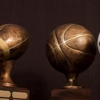 Award Alliance, LLC gallery
