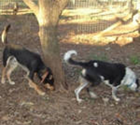Kellmann Boarding Kennels - Templers, SA