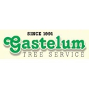 Gastelum  Tree Service - Tree Service