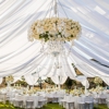 Platinum Event Rentals gallery