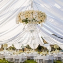 Platinum Event Rentals - Chair Rental