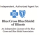 Blue Cross Blue Shield