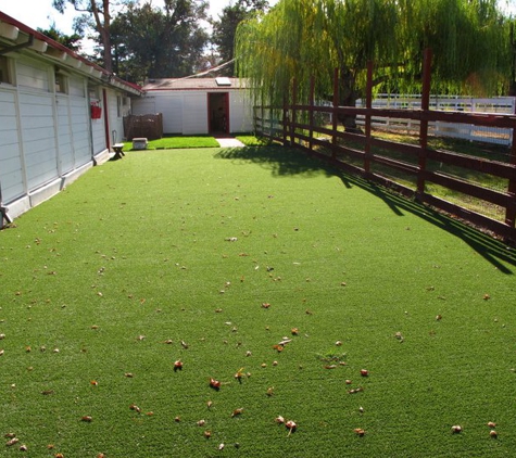 Wunderbar's Pet Hotel - Walnut Creek, CA