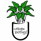 Urban Pothos Houseplant Shop