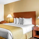 Quality Inn - Motels