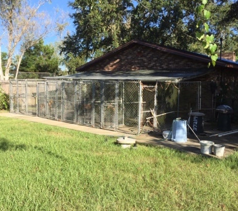 Beltara Kennels Akc Reg - Leesburg, FL