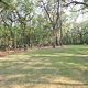 Carolina Bay - Rice Field by Centex Homes