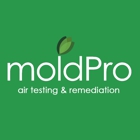 MoldPro