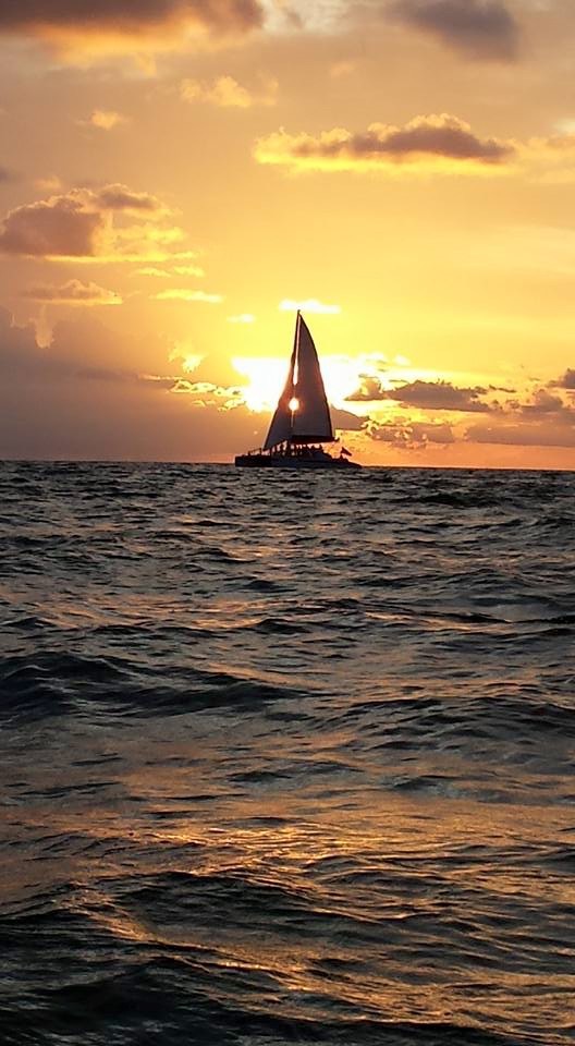 sweet liberty catamaran sailing & boat tours naples fl