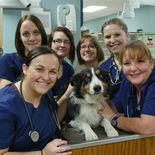 Cornerstone Animal Hospital - Joplin, MO