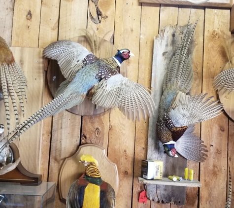 Verns Taxidermy - Algonquin, IL