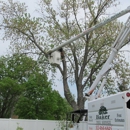 Baker Tree Service - Tree Service