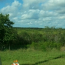 Paynes Prairie State Park - State Parks