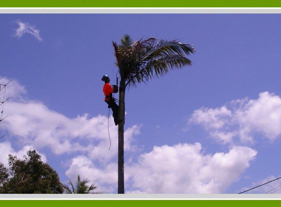 Walton's Tree Care Services. Highly Experienced Team