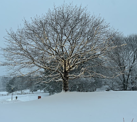 Eastern Land Management - Stamford, CT