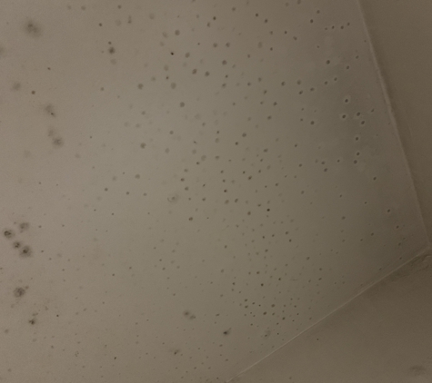 Navajo Motel - Phoenix, AZ. Room 17 has black Mold management refuses to do anything and me and my girl getting kick out because we complain we pay for week