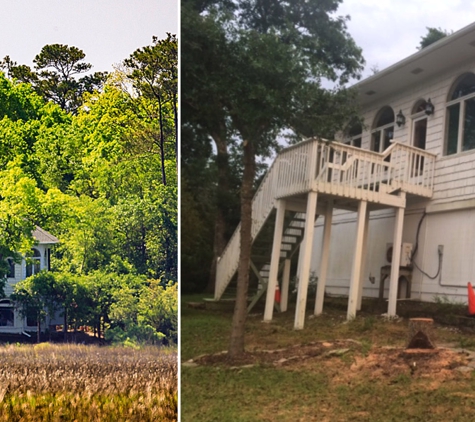 Capital Tree Service - Ocean Isle Beach, NC