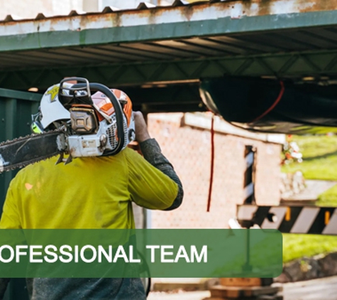 Curtis Tree Lopping Specialists - West Wodonga, VIC. Professional Team