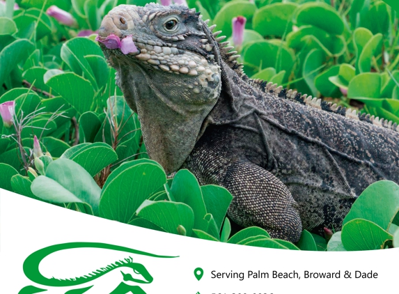 iguana police - Boynton Beach, FL