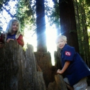 Santa Cruz Redwoods RV Resort - Resorts