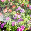 Hatch Irrigation - Irrigation Consultants