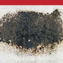 The Duct Kings of San Antonio - Ventilation Cleaning