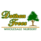 Dothan Trees