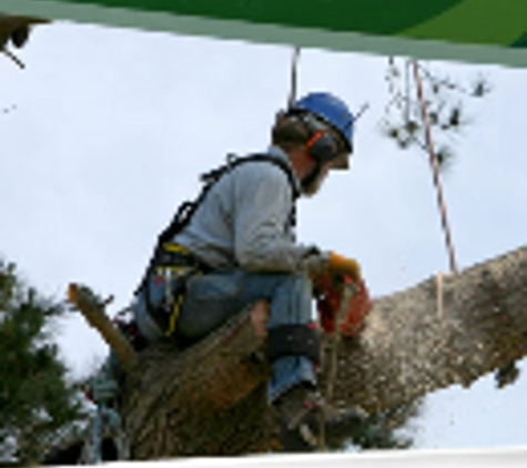 Trey's Tree Service - Zachary, LA