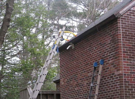 Environmental Bat Solutions - Leverett, MA