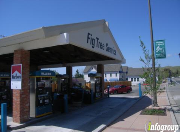 Fig Tree Auto Repair - Fremont, CA