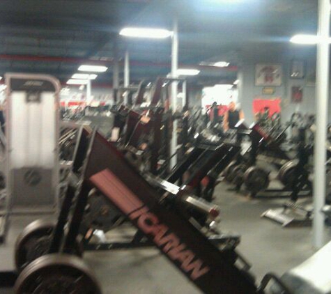 Bev Francis Powerhouse Gym - Syosset, NY