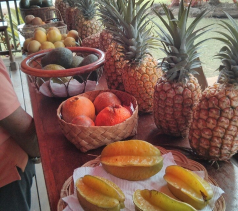 Moloa'a Sunrise Juice Bar - Anahola, HI