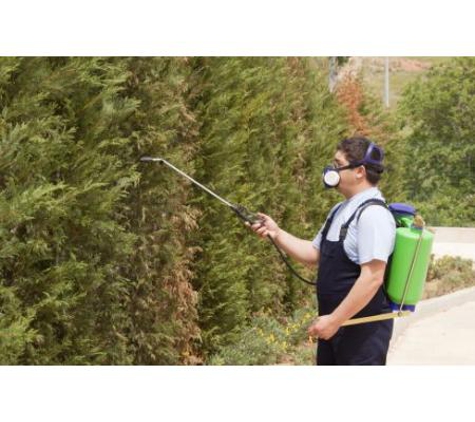Dr Maks Pest Control - Macgregor, ACT