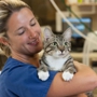 The COVE - Center of Veterinary Expertise