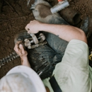 Axiom Plumbing + Sewers - Plumbers