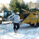 New England Tree Pros Inc - Tree Service