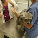 Spring Valley Animal Hospital - Veterinary Clinics & Hospitals