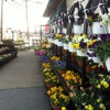 A & T Garden Center gallery