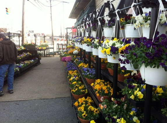 A & T Garden Center - Island Park, NY