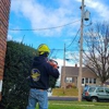 Bully's Tree Service gallery