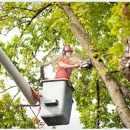 Top Quality Tree Service - Tree Service