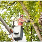 Top Quality Tree Service