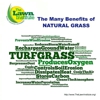 Fairway Green Lawn Care gallery