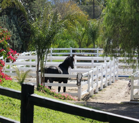 Swede Equine Show Stables - San Marcos, CA