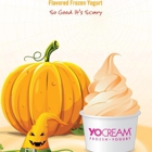 Glaciers Frozen Yogurt